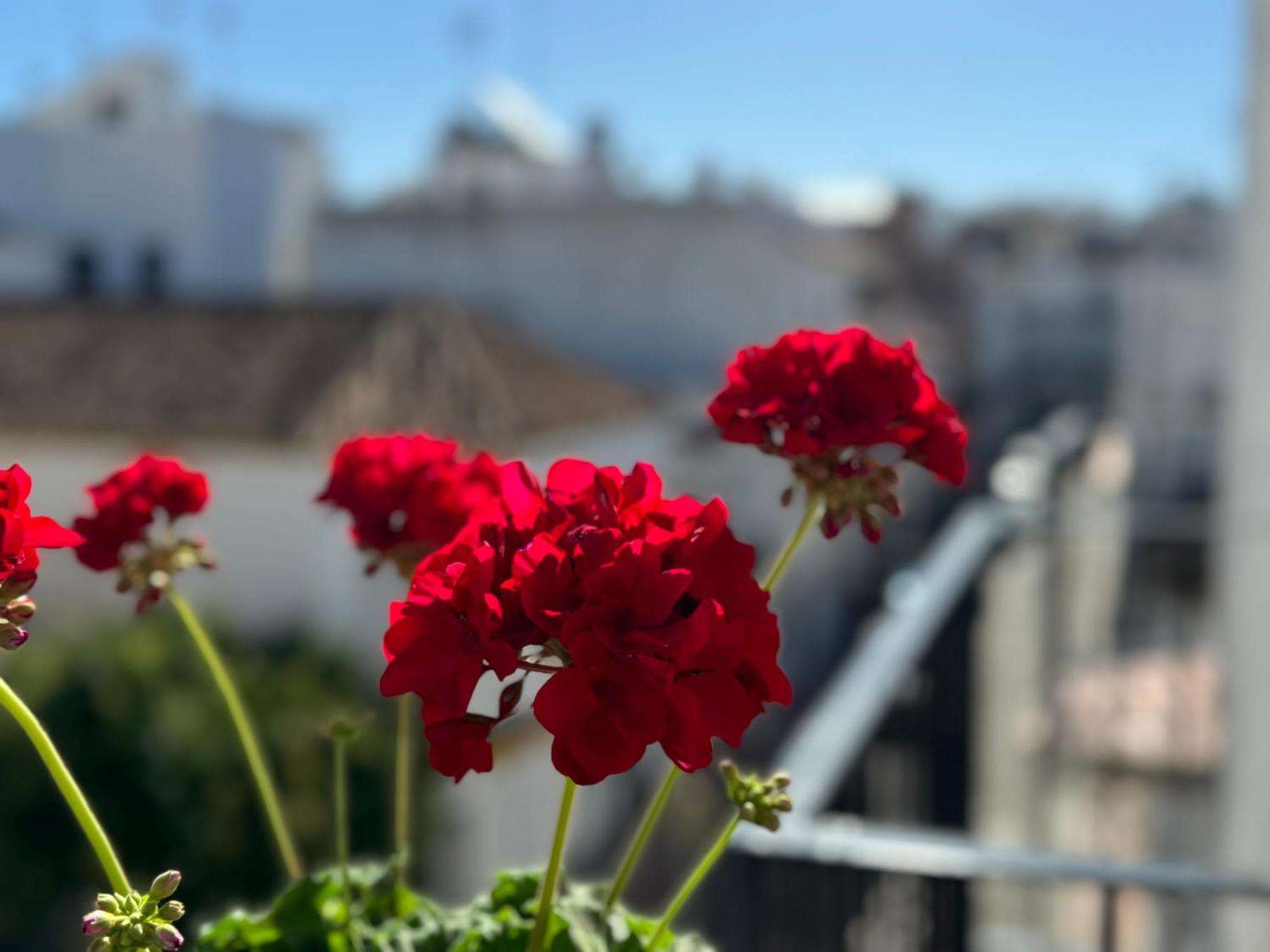 Encantadora Casa En El Corazon De Estepona Eksteriør bilde