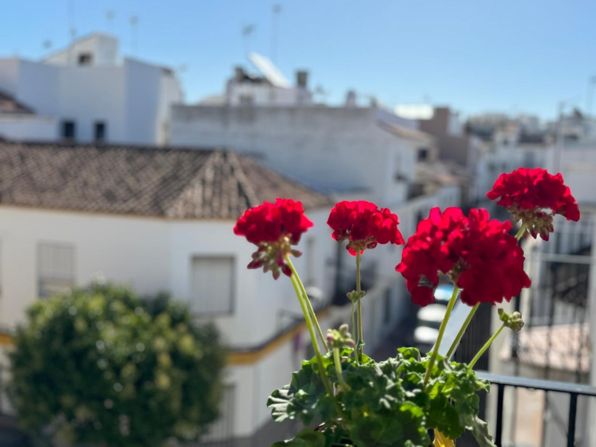 Encantadora Casa En El Corazon De Estepona Eksteriør bilde